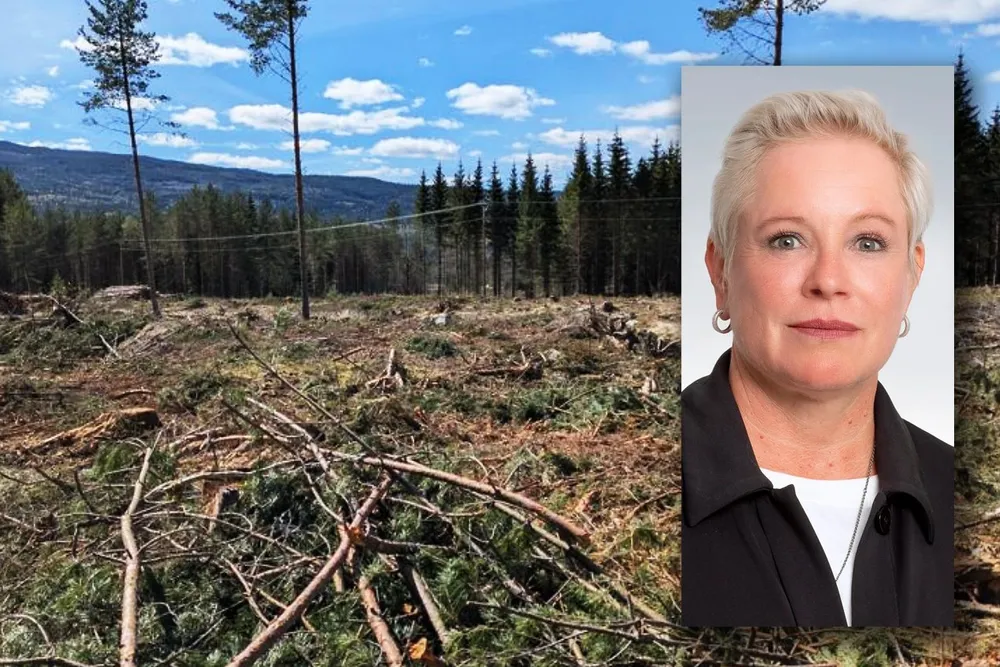 Ingvild Aleksandersen er konstituert statsforvalter i Østfold, Buskerud, Oslo og Akershus frem til Jan Tore Sanner tiltrer 15. august. Statsforvalteren er svært kritisk til planene om solkraftverk på dette området i Rollag kommune i Buskerud