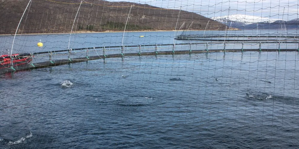 Kommunal- og moderniseringsdepartementet åpner for mer oppdrett i Lenvik. Her en lokalitet som eies av Salmar Nord på Lysnes i Lenvik kommune på Senja. Ill.foto: Foto: Jørn Mikael Hagen.