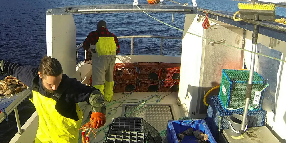 FØRINGSTILSKUDD: Regjeringen mener fiskesalgslagene kan finansiere tilskuddet ved hjelp av såkalte «inndratte midler».