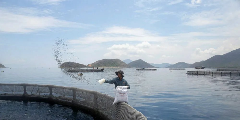 Australis says it wants to focus on its Vietnamese aquaculture operations.