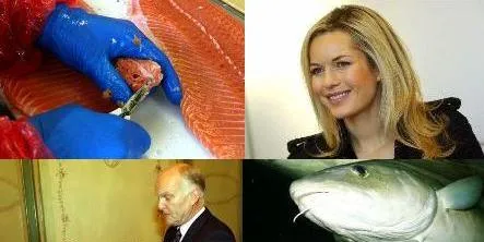 Bildeserie: Ukens nyheter
