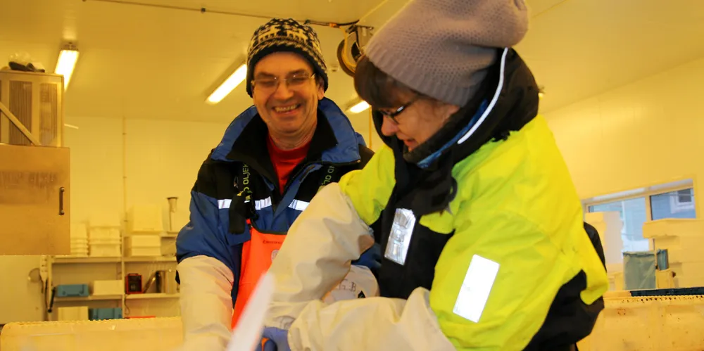 Regjeringen gir den minste flåten mer fisk, og i praksis kan det bett at det fiskes mer kysttorsk. Det vil svekke bestanden, som igjen kan føre til at torsken kan miste MSC-merket, mener Fiskeribladet. Her innhenter HI-forskerne Eva Farestveit og Gunnar Bakke prøver fra kysttorsk fanget i Nord-Troms.