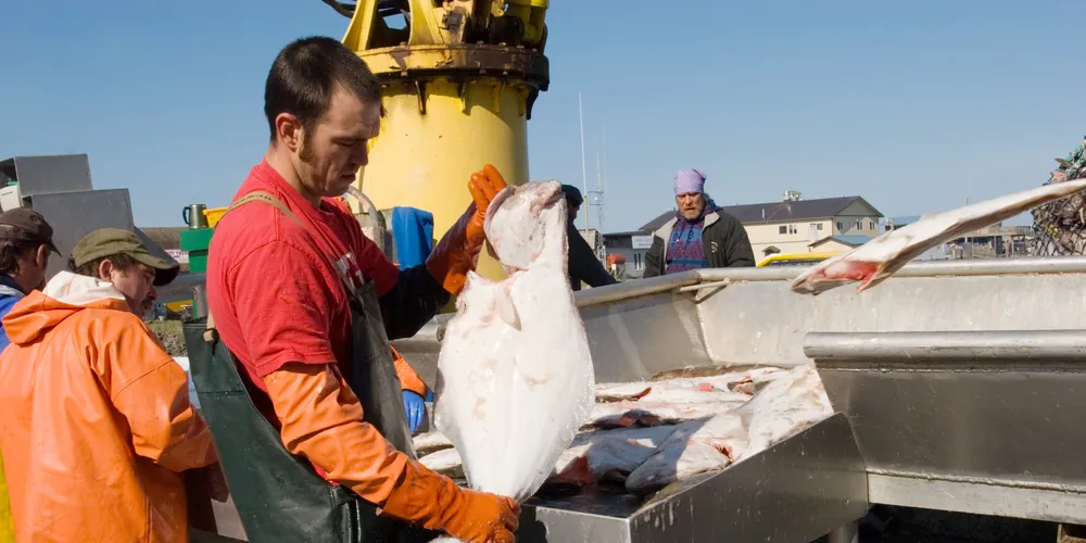 Leftover 2011 halibut inventory ‘difficult to sell’