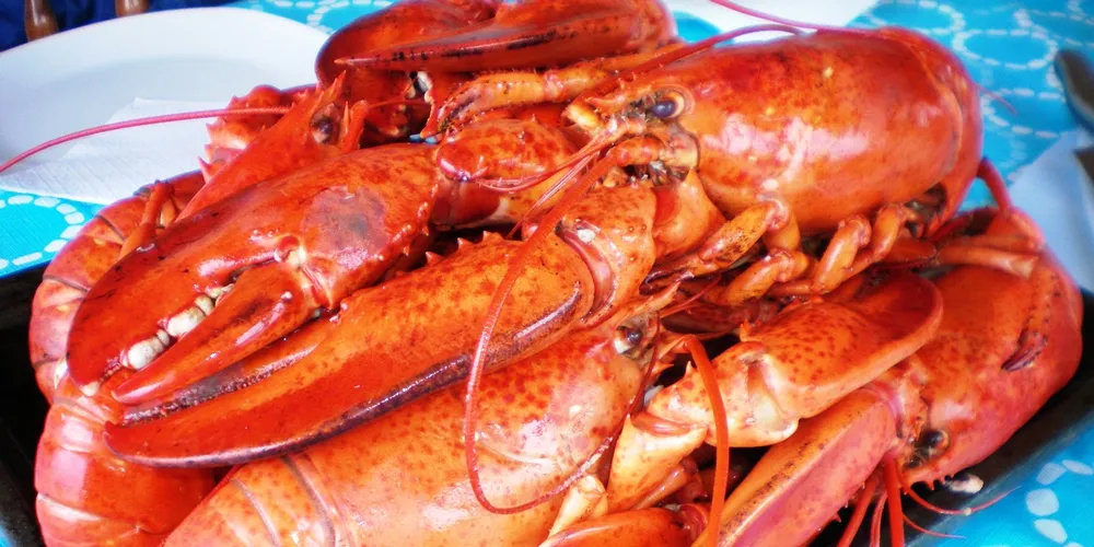 ASMI-style marketing is ‘big dream’ for Canadian lobster industry