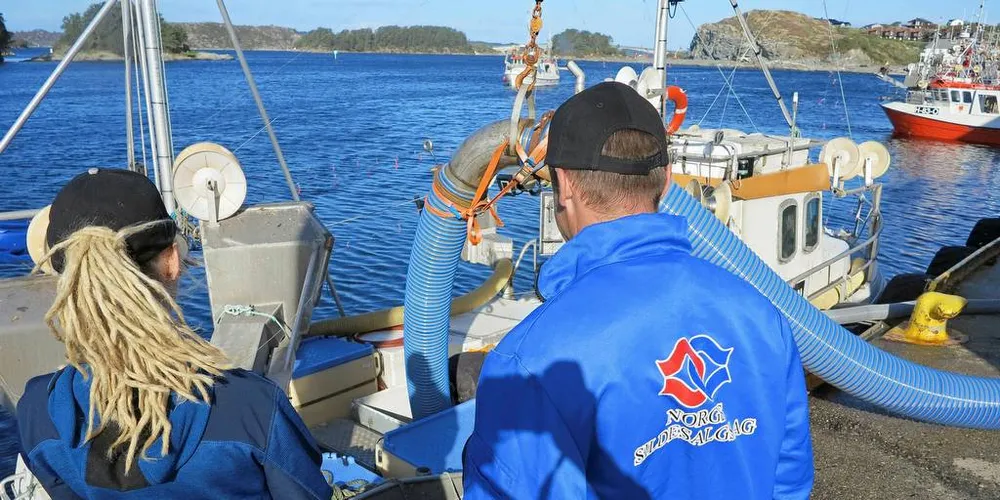 584 KONTROLLER: Kontrollører i Norges Sildesalgslag inndro 43 millioner kroner fra ulovlige landinger i 2017.Illustrasjonsfoto: Nils Torsvik