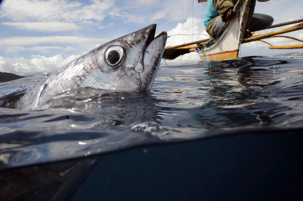 Oilex primed for Timor Sea drilling