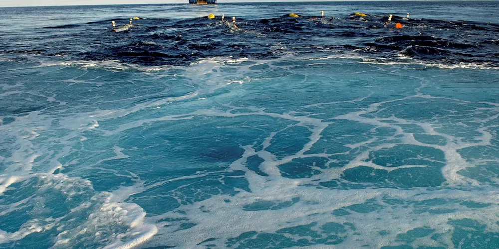 SEISMIKK: Enkelte fiskeartar, som torsk og hyse, svømmer vekk frå seismikkjelda i ein avstand på opptil 30 kilometer.