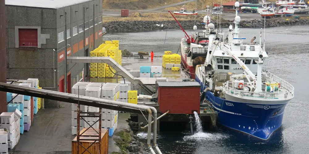 «Leander» ved kai hos Myre Fiskemottak avdeling Honningsvåg i fjor.