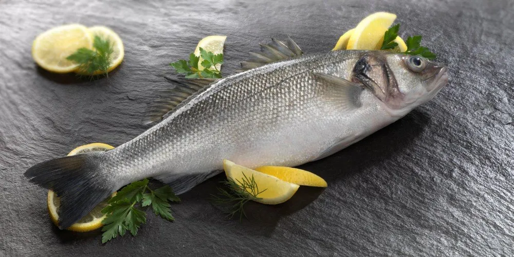 Linnaeus-backed Anglesey Aquaculture finally up for sale