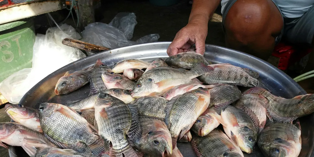 Mexico aims to raise consumption.