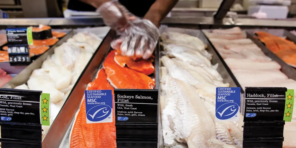 Photo: Loblaws