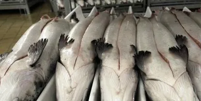 Norway, EU both claim WTO salmon victory