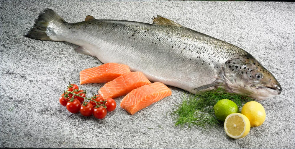 Norwegian salmon prices remain high