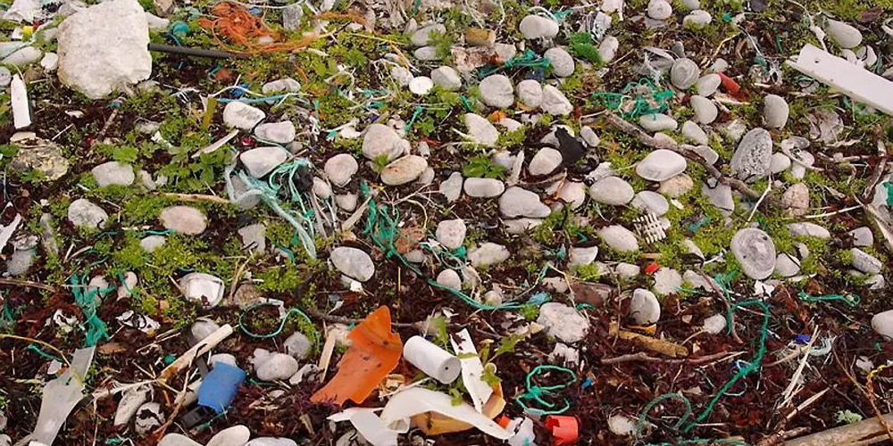 Søppel på ei strand. Taurestene her har estimert nedbrytingstid på 500 år. Illustrasjonsfoto: Bo Eide