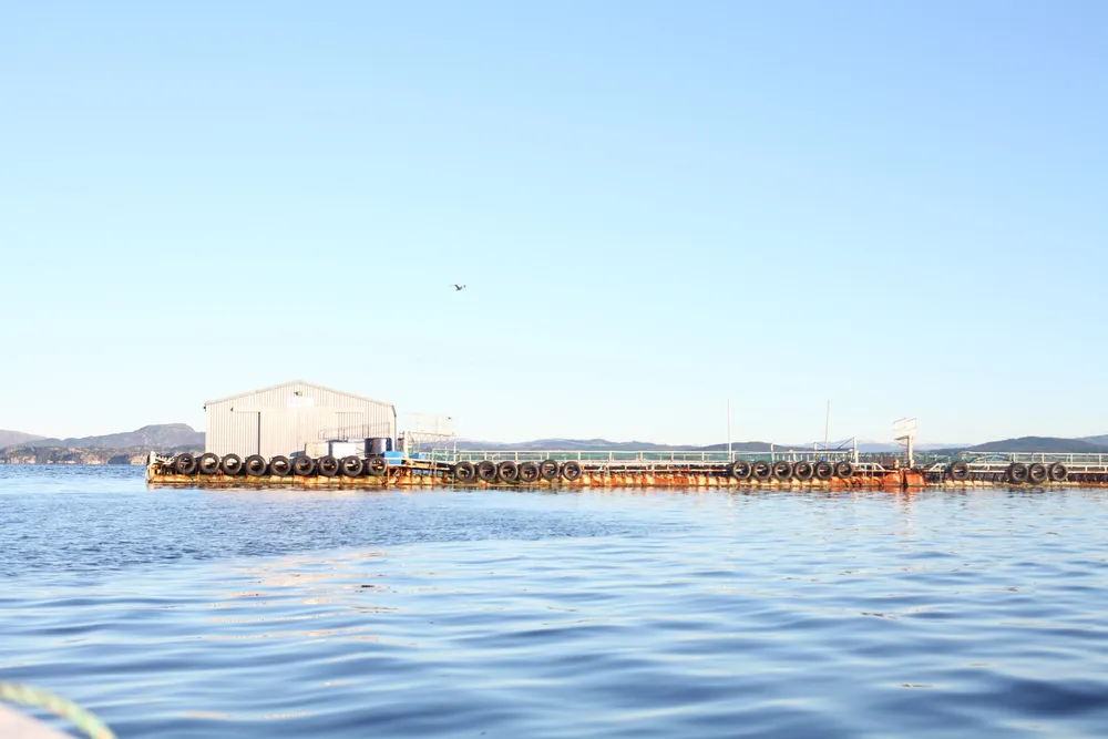 Blom Fiskeoppdrett driver produksjon blant annet i Øygarden utenfor Bergen.