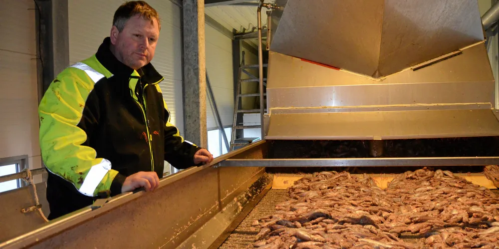 Kolmule levert til lavere priser i år. Produksjonssjef Geir B. Stadsnes på Vedde, tar imot fangst.