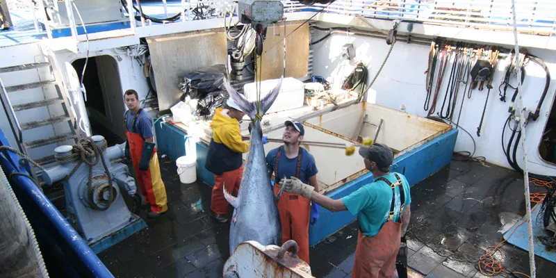 Photo: Harbor Blue Seafood