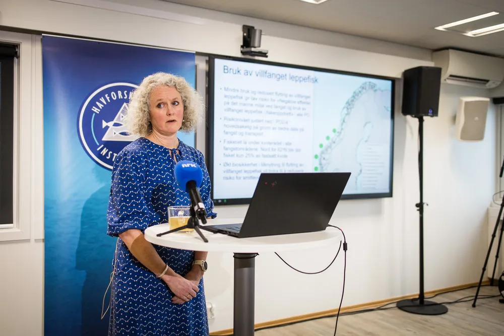 Forsker Ellen Sofie Grefsrud er redaktør for den årlige risikorapporten for norsk fiskeoppdrett fra Havforskningsinstituttet.