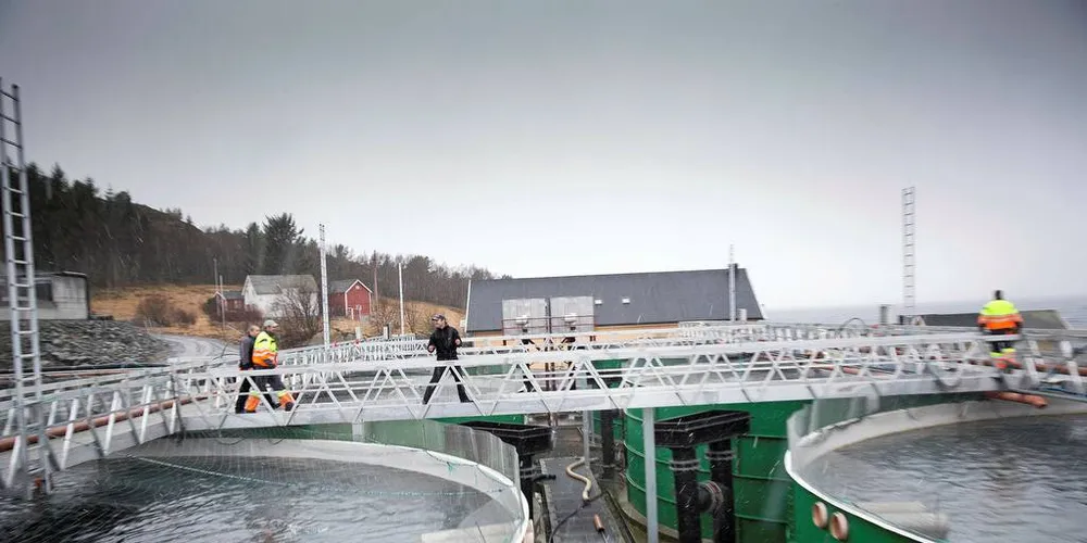 STORE INVESTERINGER: Laksenæringen gjør store investeringer samtidig som lakseprisene faller. Det er grunn til bekymring mener John Kenneth Selven.Illustrasjonsfoto: Ole Morten Melgård