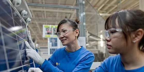 Irena's research suggests women make up 35% of the renewables workforce