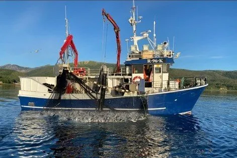 «Kavholm» fisker langs kysten og har ikke opplevd store mengder makrell som hos havfiskeflåten.