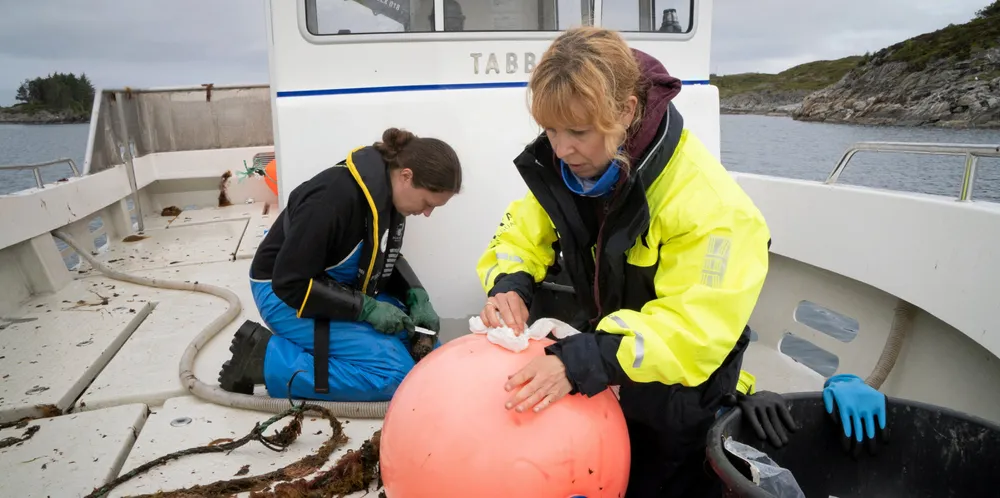 Postdoktor Kate McQueen og forsker Lise Doksæter Sivle på feltarbeid i Bakkasund i Austevoll.