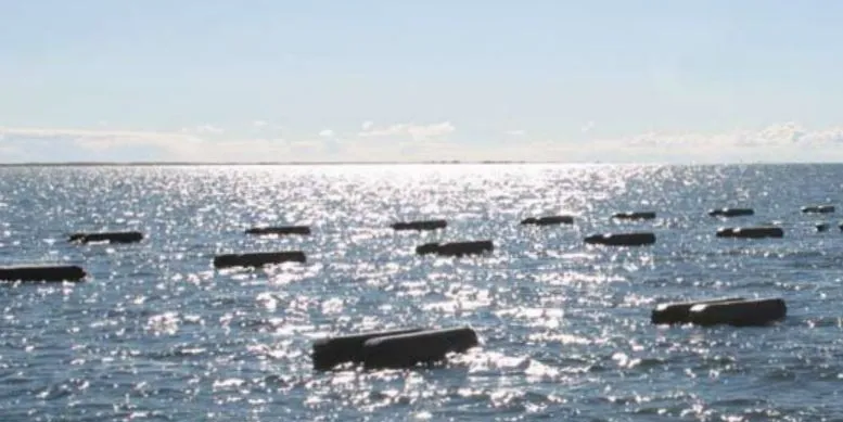OysterGro system