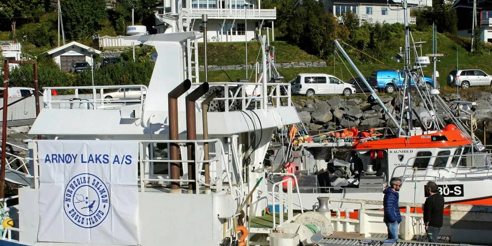 Arnøy Laks med sin servicebåt «Berg Viking». Foto: Jørn Mikael Hagen