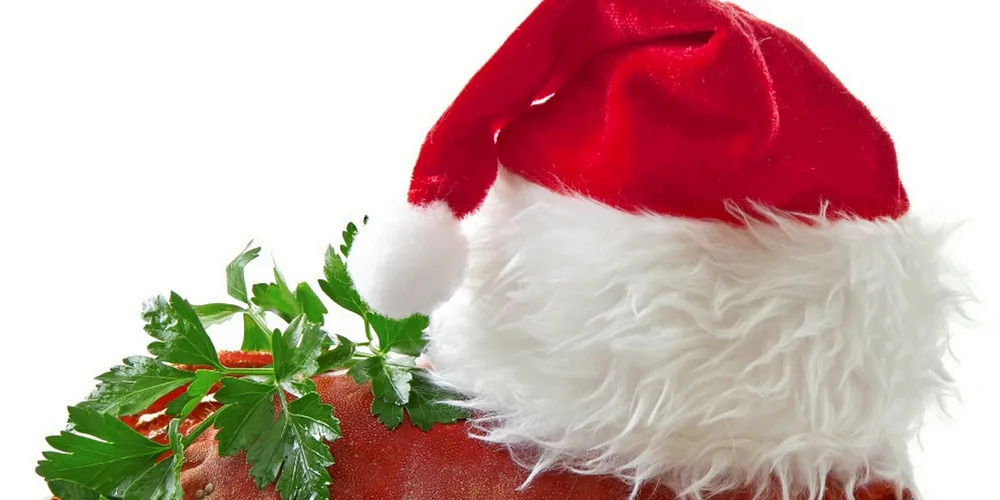 Crab in Santa Claus hat on a platter isolated on white background