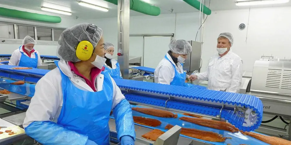 INDUSTRI: I lakseproduksjonen ved Sotra Fiskeindustri er det mange utlendinger ansatt.