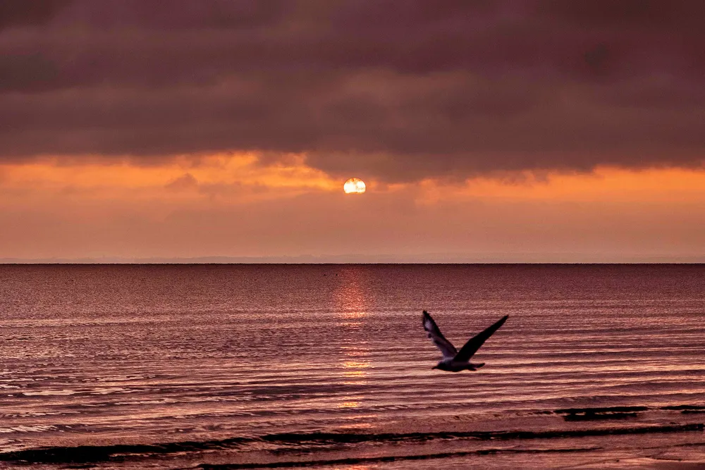 Baltic Sea: Nord Stream 2 project segment authorised