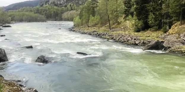 Bekrefter tett rist-teori etter fiskedød