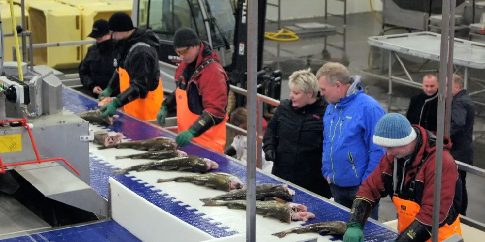 Ved Hovden Fiskeindustri var det full produksjon da statssekretær Ronny Berg og rådgiver Lena Brungot fra Nærings- og fiskeridepartementet besøkte bedriften i forrige uke. Foto: Øyvind Gjerde, Fiskeriparken