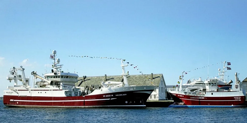 Det er kun flerbåtsrederiene som har grunn til å juble dersom det innføres en driftsordning i havfiskeflåten, mener Pelagisk Forening.Ill.foto: Fridgeir Walderhaug
