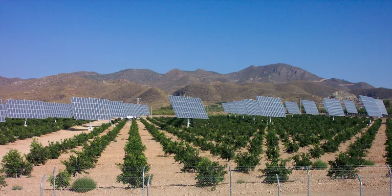 SunPower to build 20MW Arizona PV project for Iberdrola