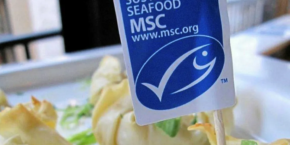 Is the MSC a victim of its own success, struggling to find a balance between the need of getting more certified products and its obligation to set its standards high?
