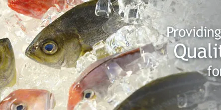 Santa Monica Seafood acquires Central Coast Seafood