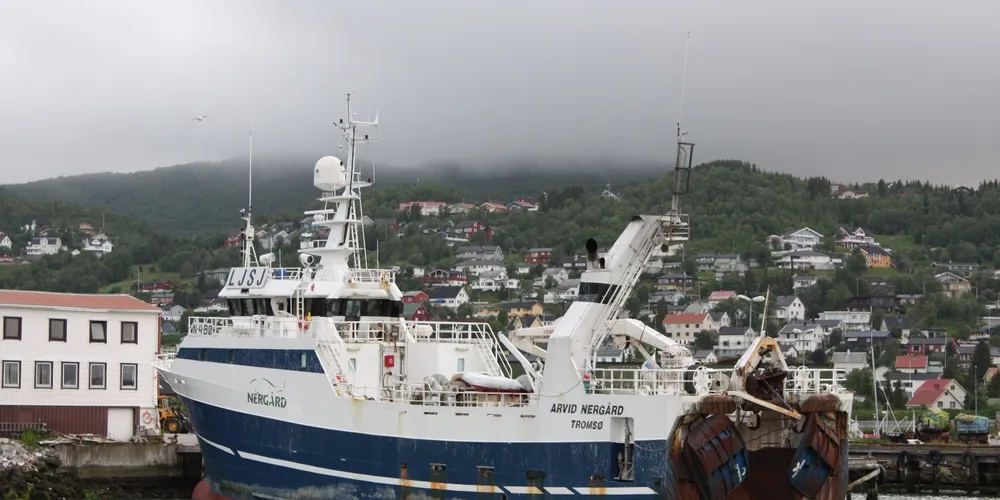 Nergard, Polar Seafood negotiate over new plant in Kjollefjord