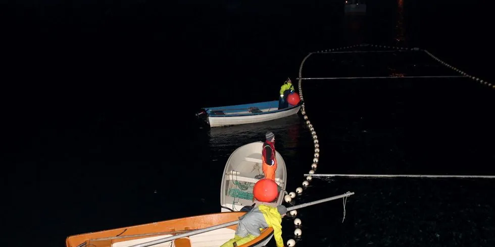 Mannskapet på "Fjordbas" og "Knut Olav" sørger for at nota blir skikkelig "tøket" under lossingen av låssettet. Foto: Willy Hauge