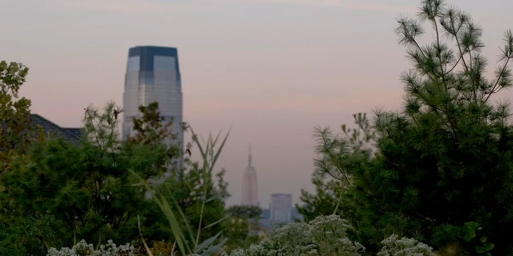 The Goldman Sachs building in Jersey City, US, viewed from parkland