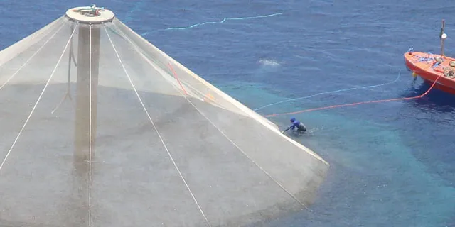 Photo: Open Blue