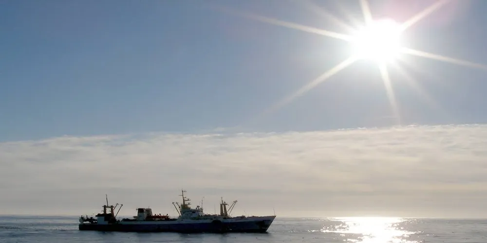 Authorities raid Russian fishing companies