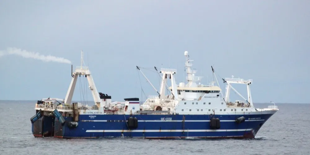Den russiske tråleren ”Mekhanik Kovtun” avsluttet et hal på 53 tonn nvg-sild da Kystvaktens folk kom på inspeksjon. Foto: Kystvakten / KV ”Harstad”