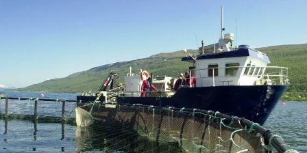 Aquaculture's growth rate actually is <i>declining</i>