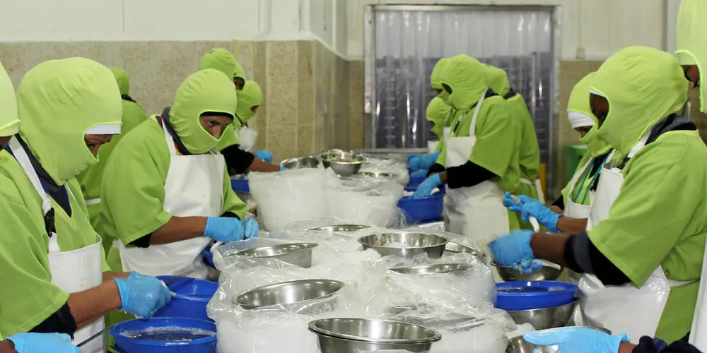 Songa's Ecuador shrimp processing plant.
