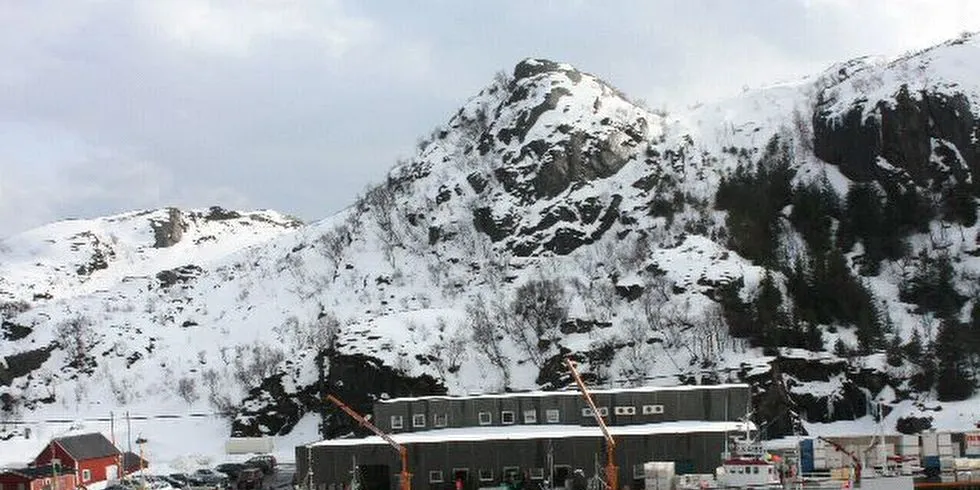 Napp har flest sjarker i Lofoten. Arkivfoto: Terje Jensen.