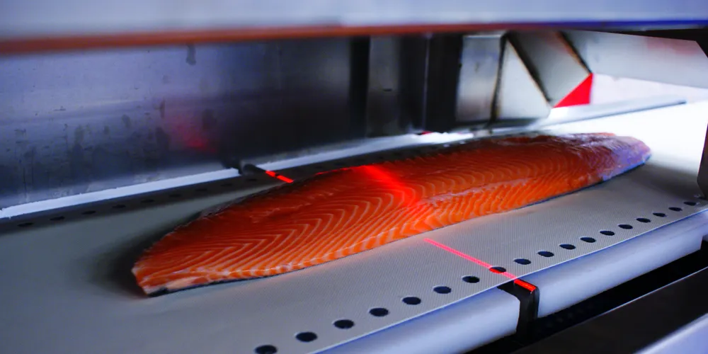 Photo: Marine Harvest Consumer Products