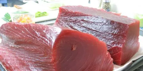 Japanese trader acquires Kali Tuna
