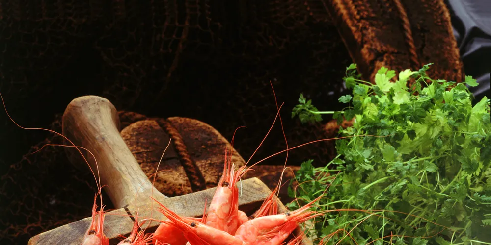 Coldwater shrimp continues to stumble at UK retail
