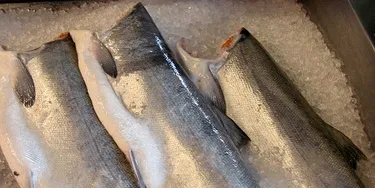 Brighter prospects for coho